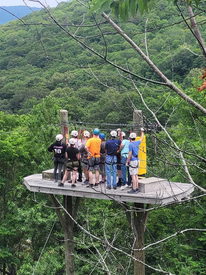 Canopy Ziplines Through Old Growth Forest