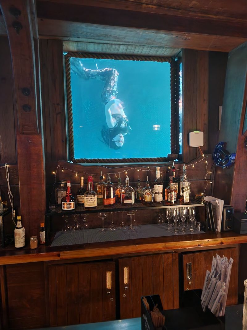 Siren Seduction Evening Show