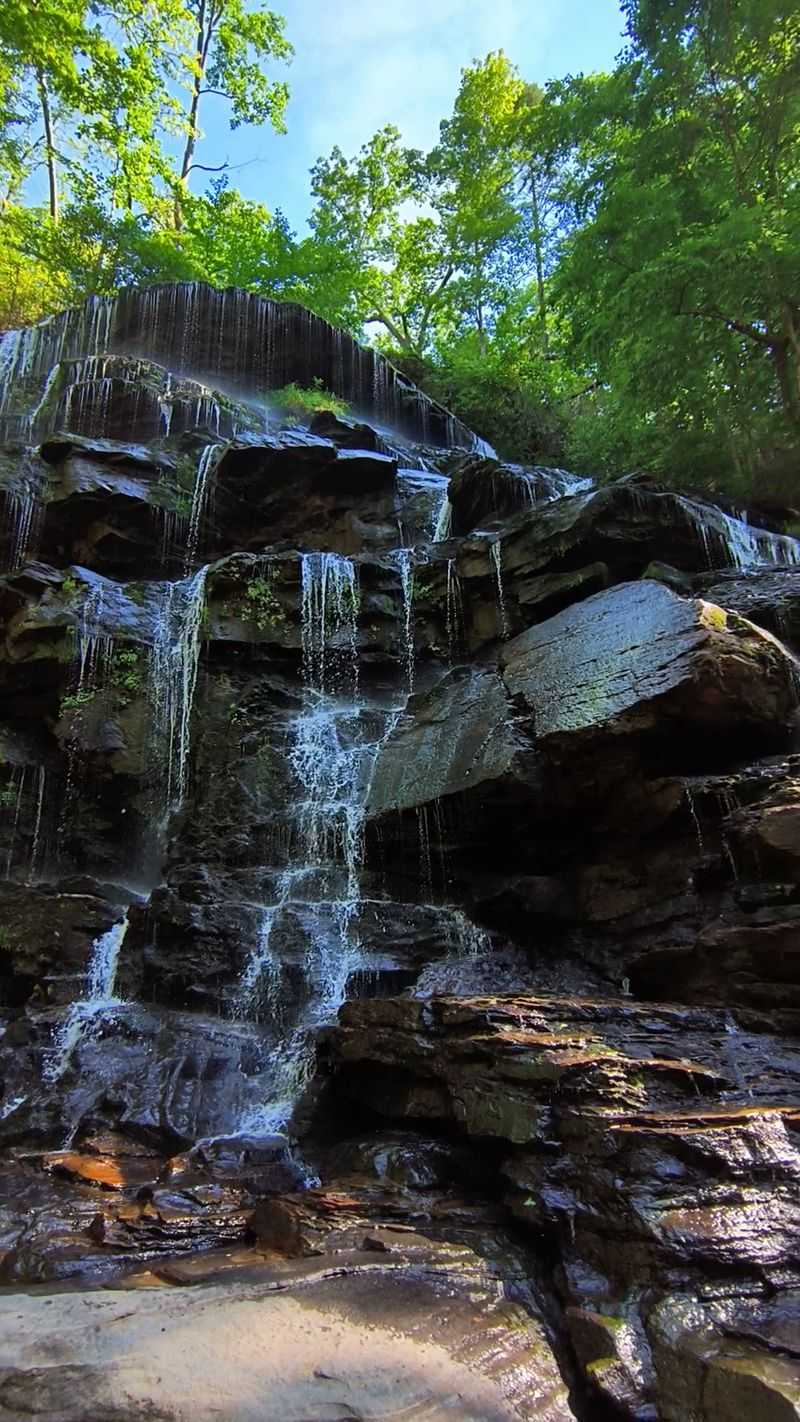 Seasonal Variation Makes Every Visit Unique