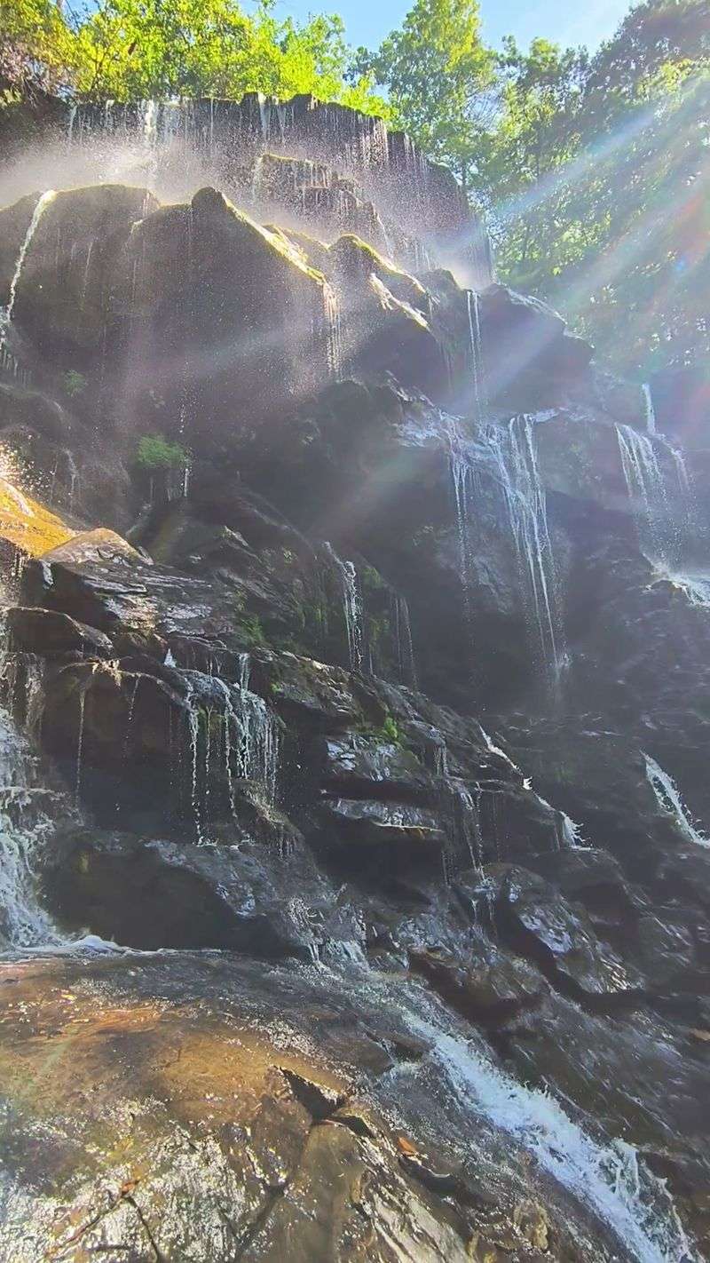 Short Enough for Day Trips