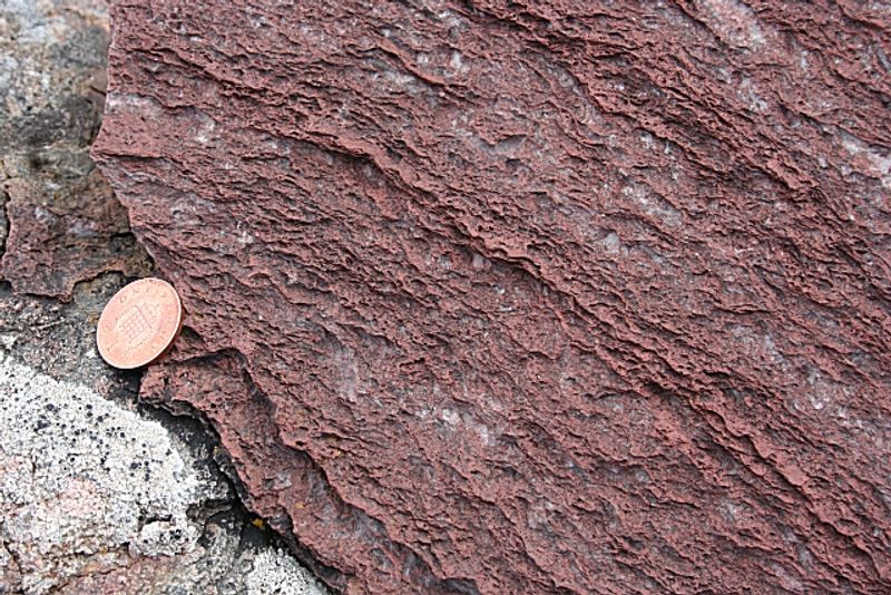 Microbial Life Will Persist Longer