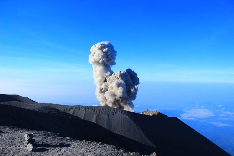 Seismic Signals and What They Mean