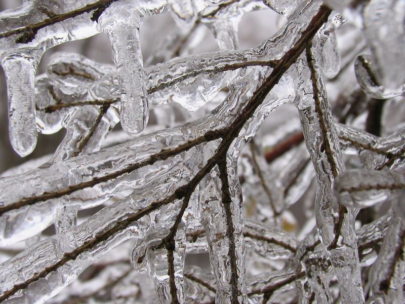 What Caused the Ice Storm and Its Broad Impact