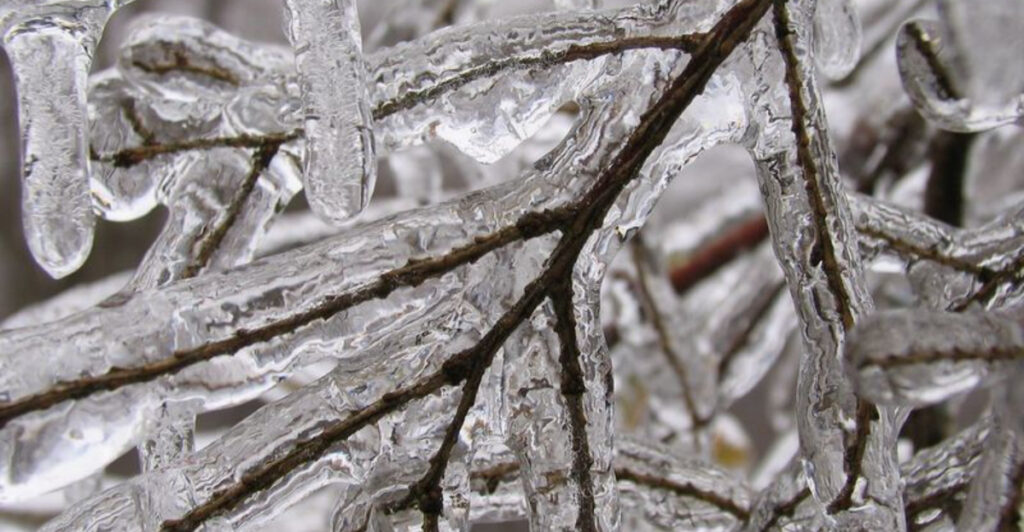 Nashville Ice Storm Chaos: Nearly Half the City Without Power as Freezing Rain Causes Major Damage