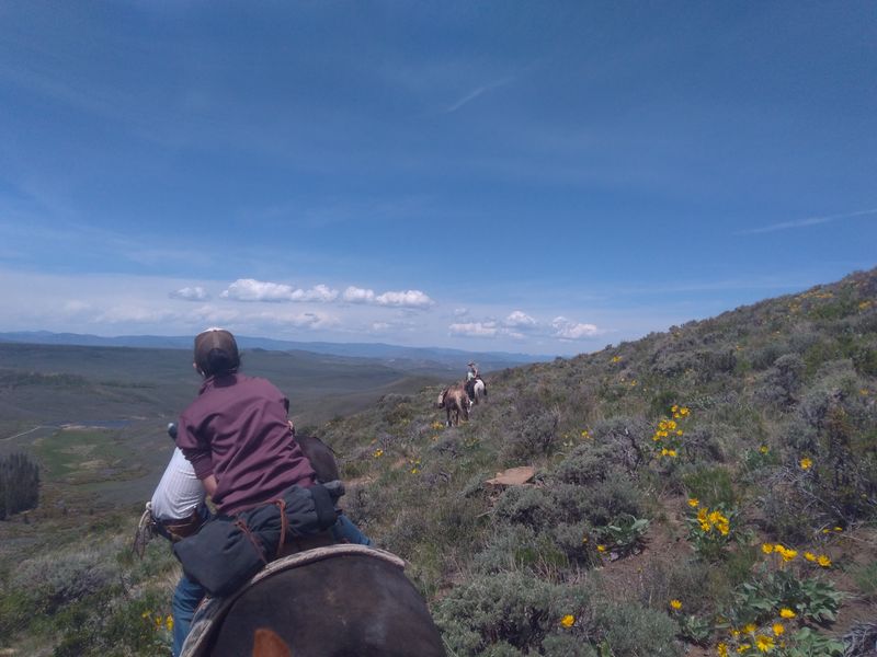 Exploring Ghost Towns