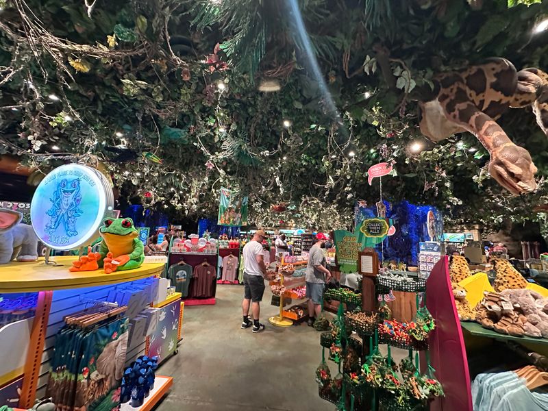 Gift Shop And Take Home Magic