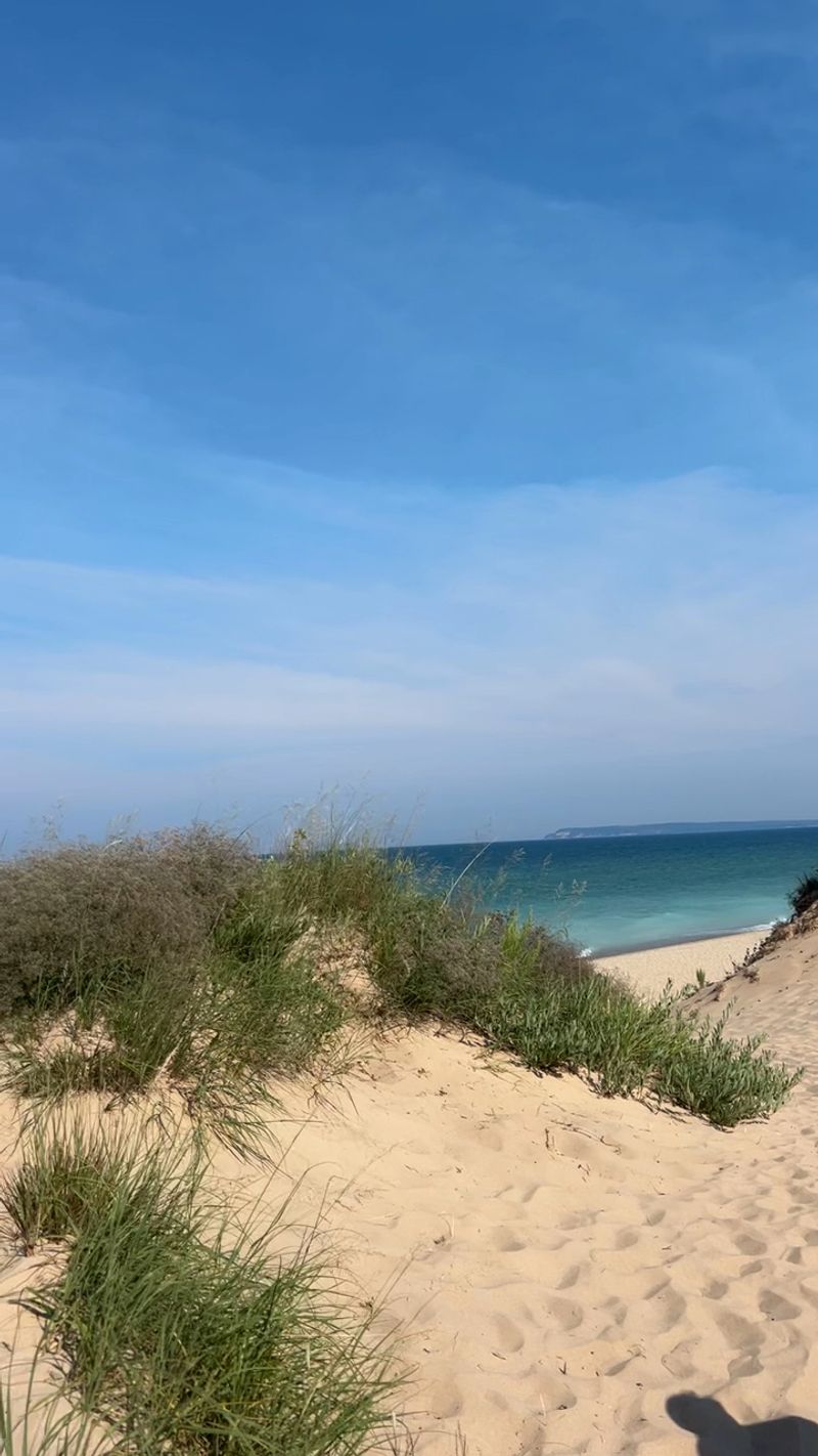 Beach Grass and Dune Ecology