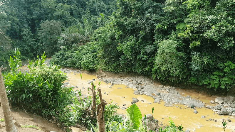 Guadalcanal (Solomon Islands)