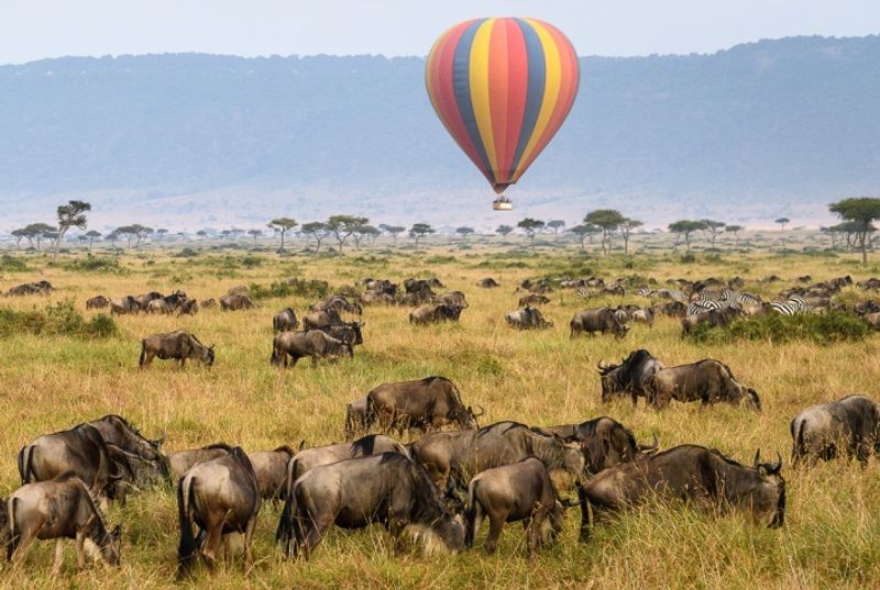 Masai Mara, Kenya — Grasslands, Wildlife and Safari Adventure