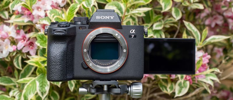 Sony A7 IV — Hybrid Everyday All-Star