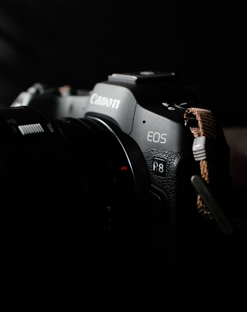 Canon EOS R8 — Value Low-Light Powerhouse