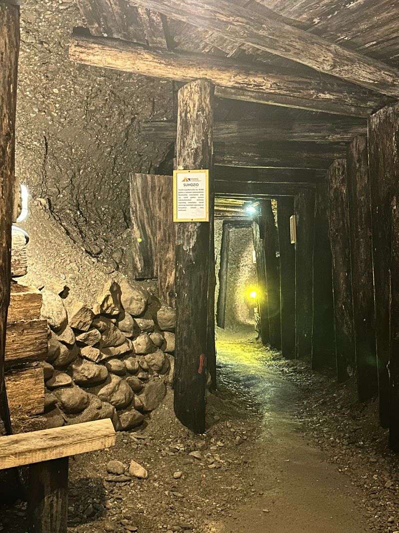 The Tunnels Exist, Purpose Disputed