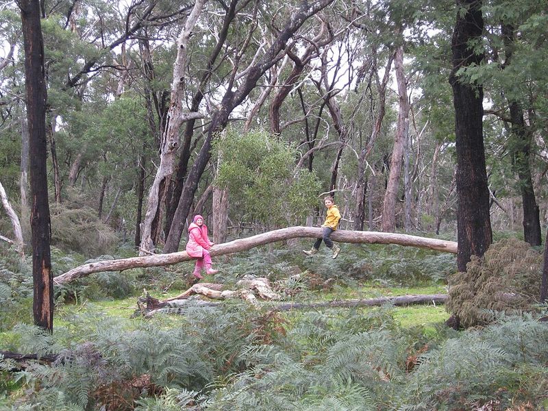 Fewer Safety Nets: Boomers often played outside unsupervised, learning to fend for themselves in ways that seem risky now.