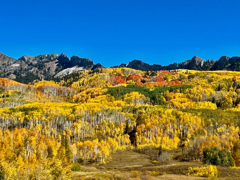 Kebler Pass And Fall Aspens