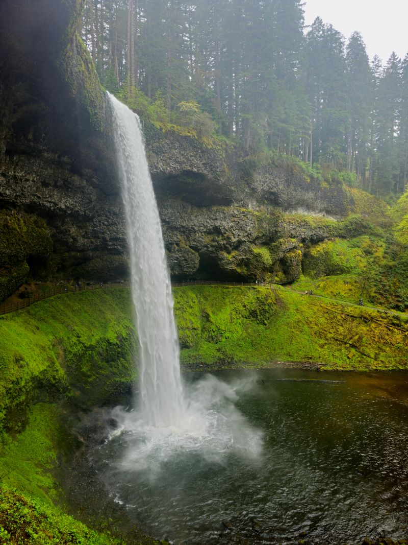 Oregon - Silver Falls State Park