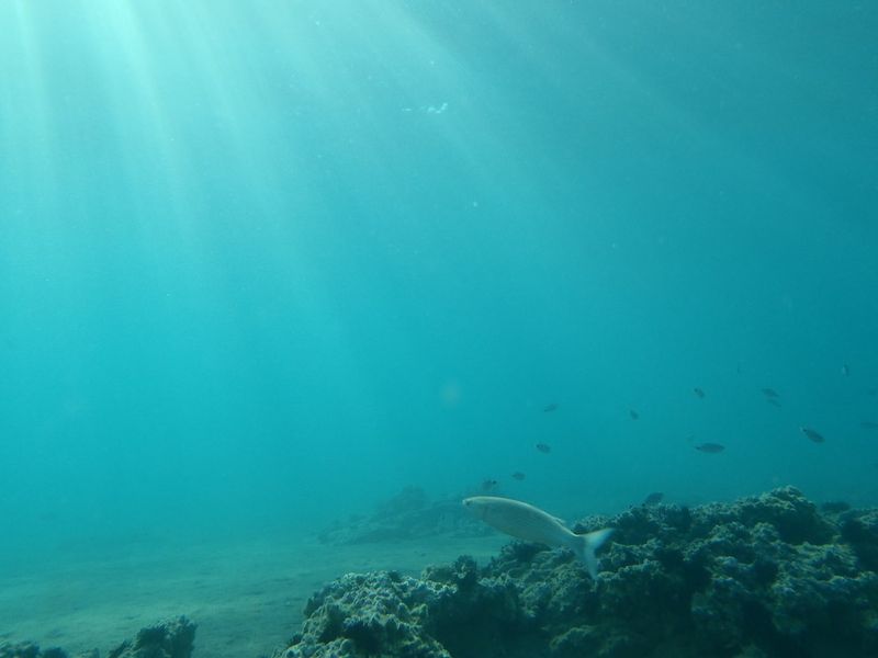 Mariana Trench, Pacific Ocean — The Deepest Waters Still Unknown