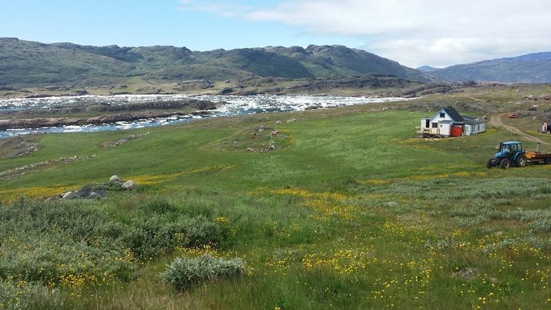 South Greenland Offers a Different Greenland—Green Valleys and Farming History