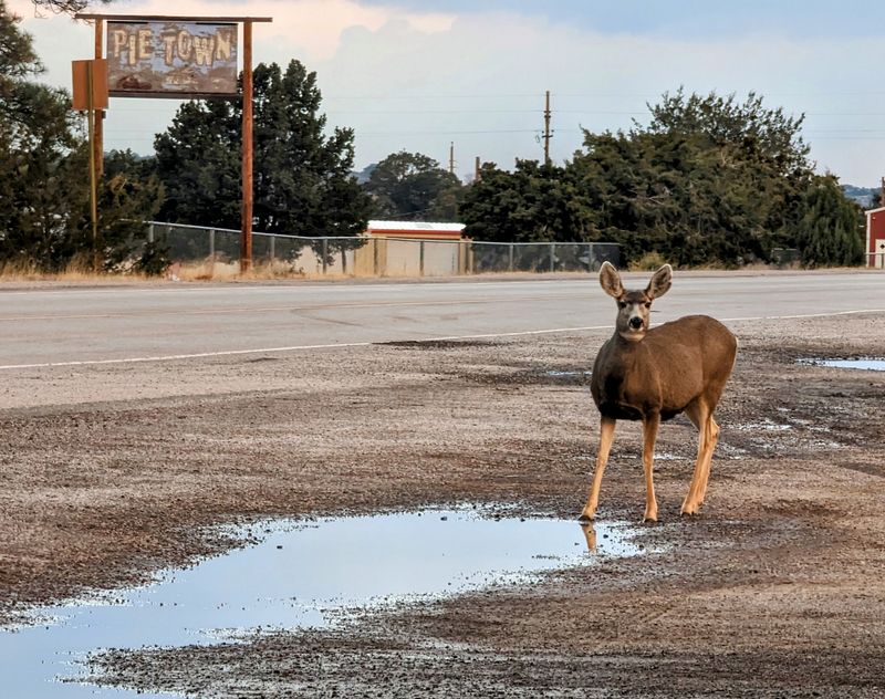 A Hidden Gem Worth the Detour