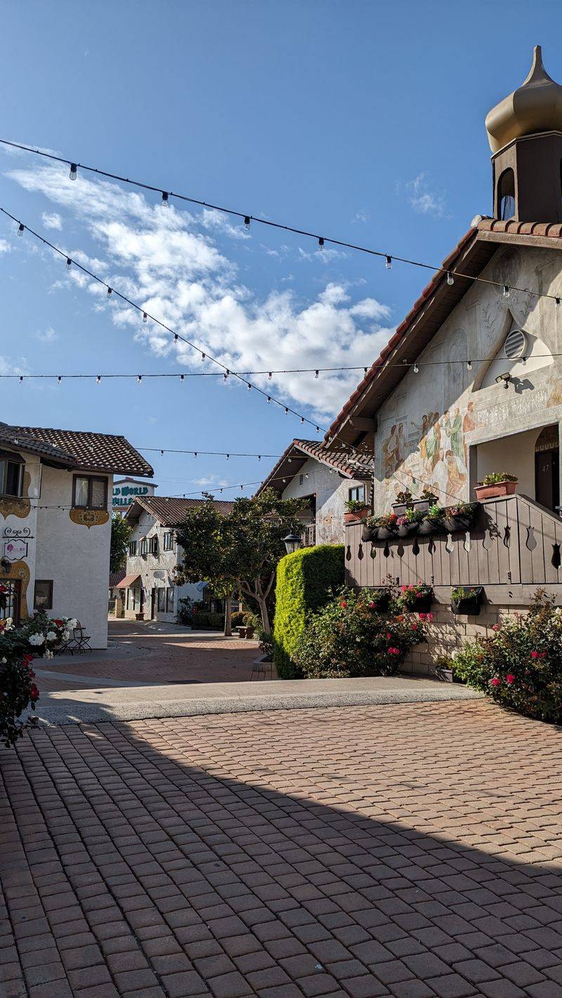 Photo Walk Through Timbered Lanes
