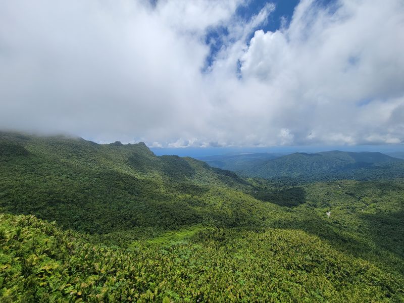 El Yunque National Forest, Puerto Rico