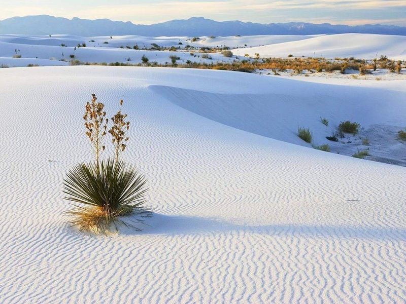 White Sands National Park, NM