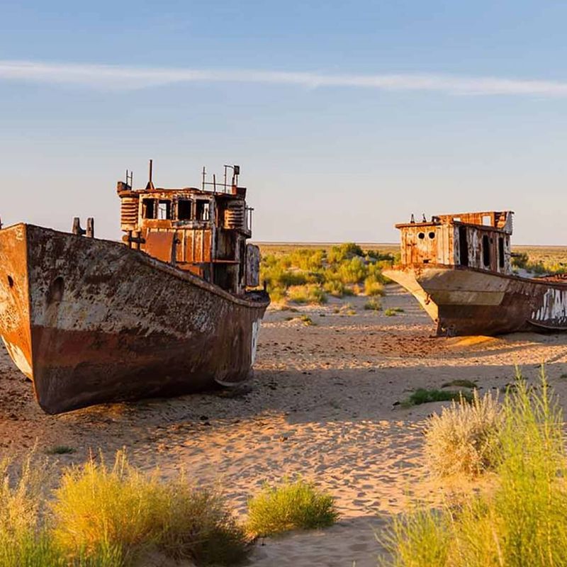 Stranded Ships in the Desert