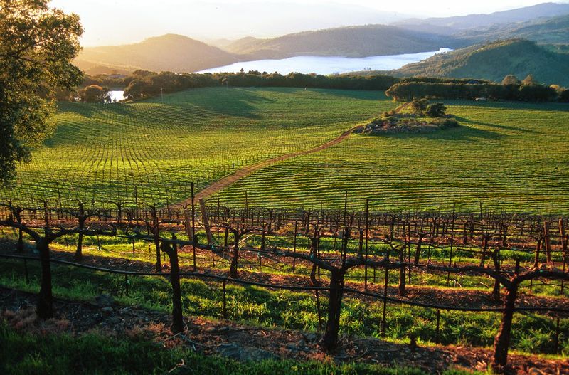 Chappellet Vineyard — Napa Valley, California