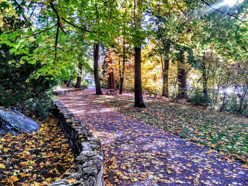 Lithia Park Everyday Magic