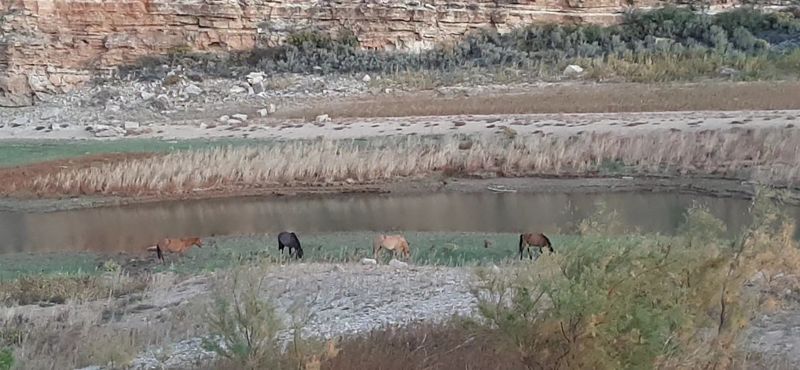 Where It Is and How To Picture It