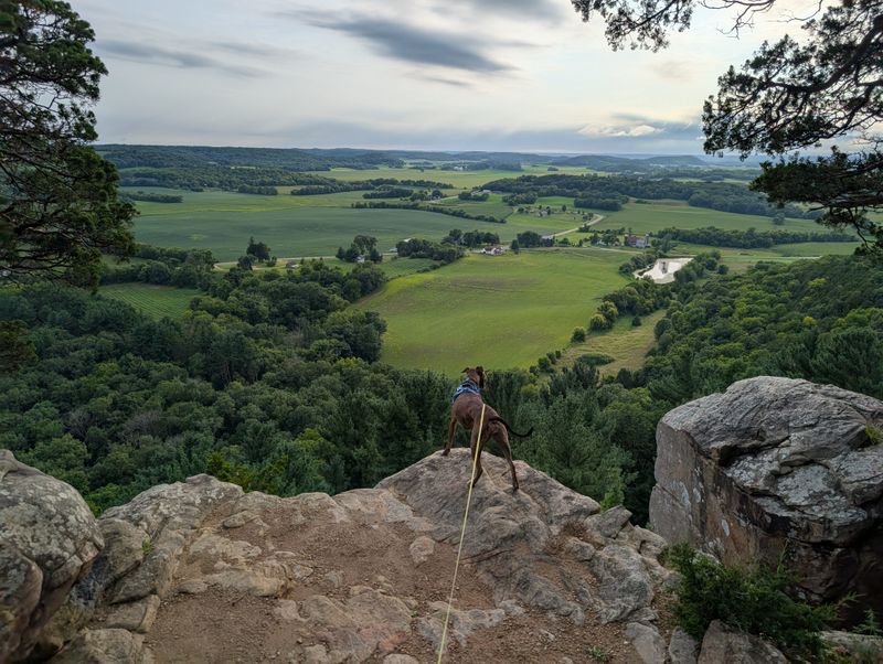 Close to Unique Local Attractions