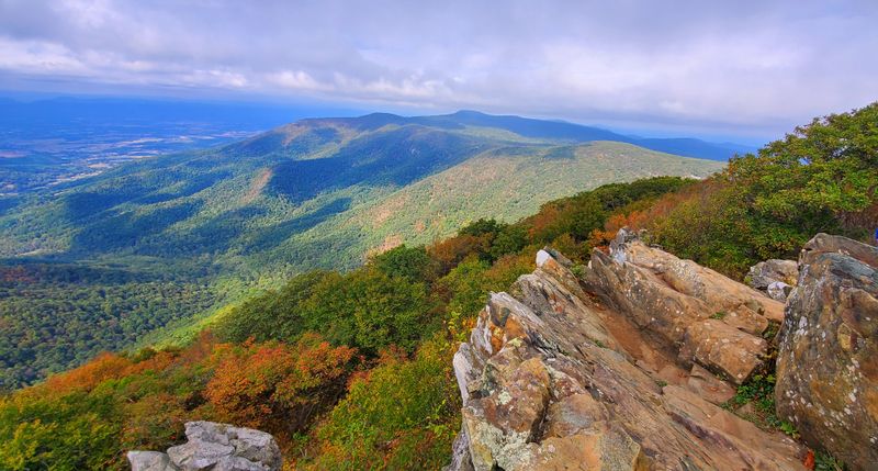 Built for Views, Not Speed