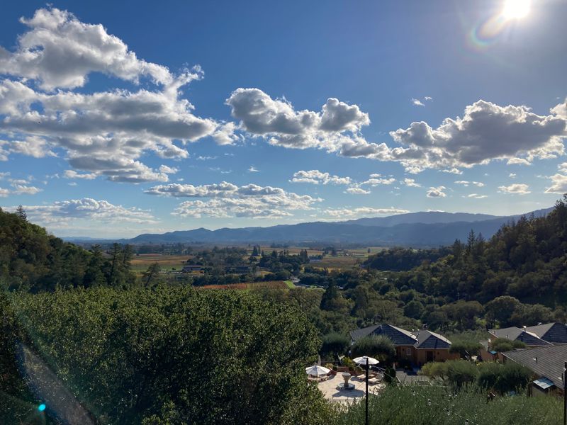 Seasonal Release Cadence