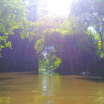 Paddlers Say This Hidden Wisconsin River Route Feels Like a Journey Back in Time