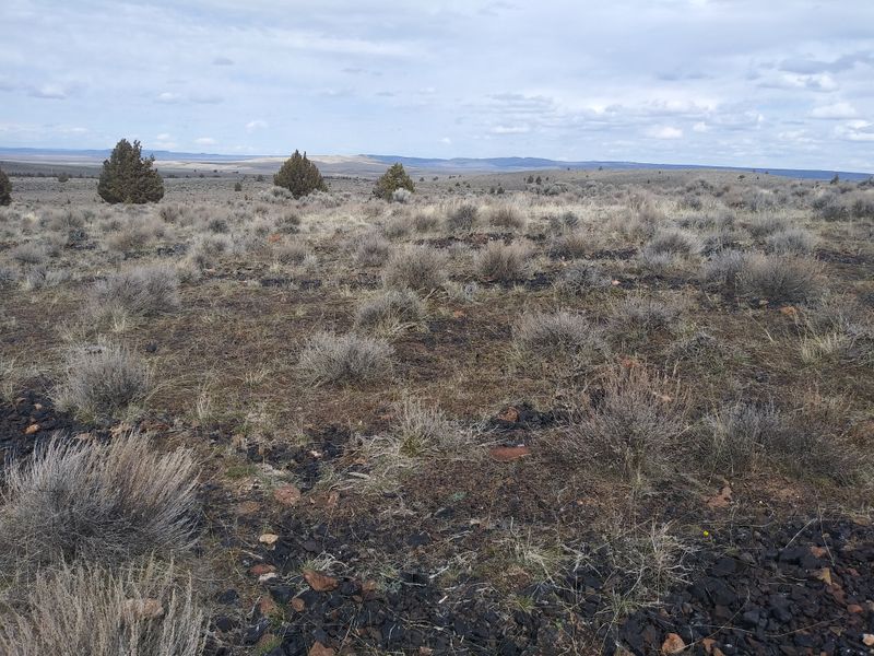 Summer Lake Wildlife Area Loop Tour
