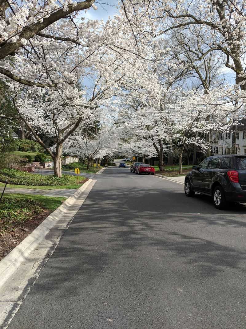 Bethesda, Maryland (CDP)