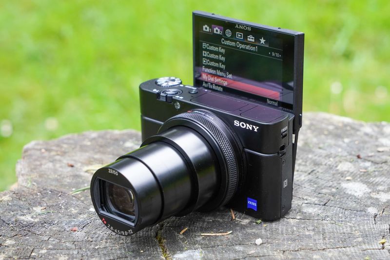 Sony RX100 Series (e.g., RX100 VII)