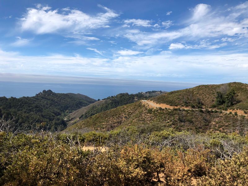 Buzzard's Roost Trail