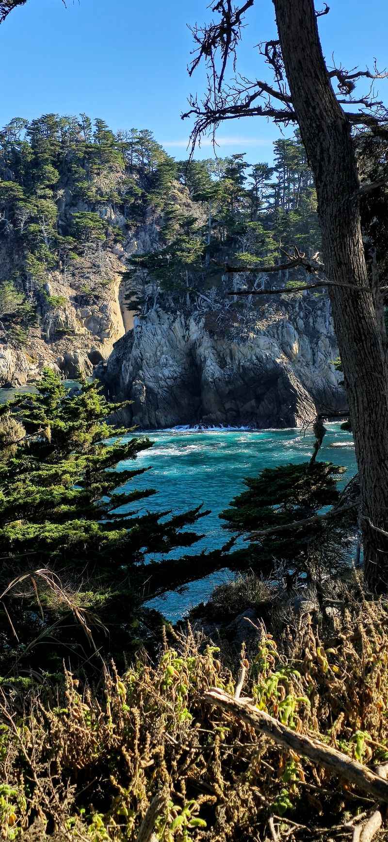 Cypress Grove Trail - Point Lobos State Natural Reserve