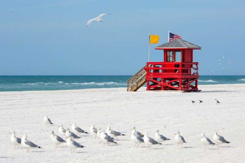 Siesta Beach (Siesta Key)