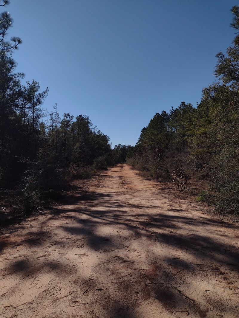 Plans for the Future – Thoughtful Growth