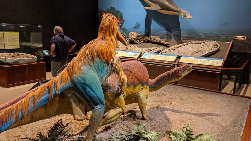 The Explore Yellowstone Kids Room