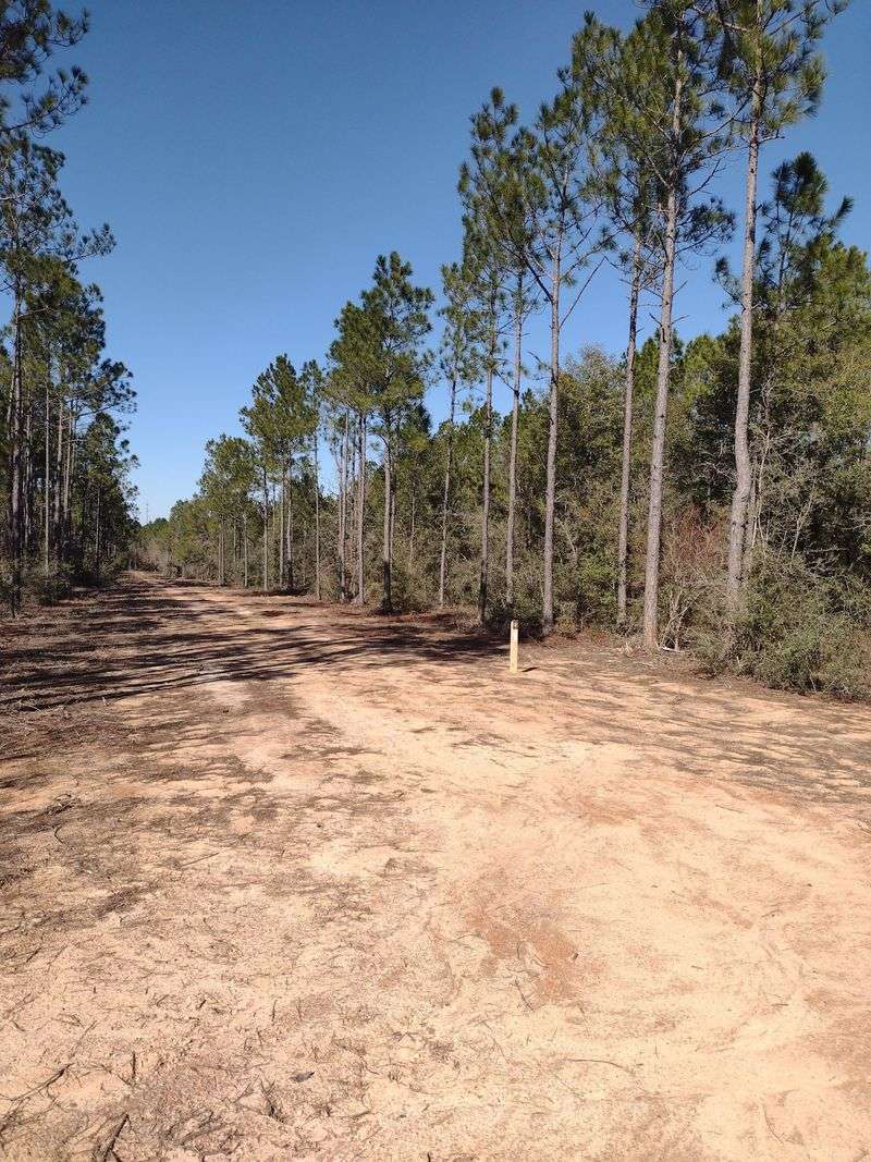 Wildlife Viewing Paradise