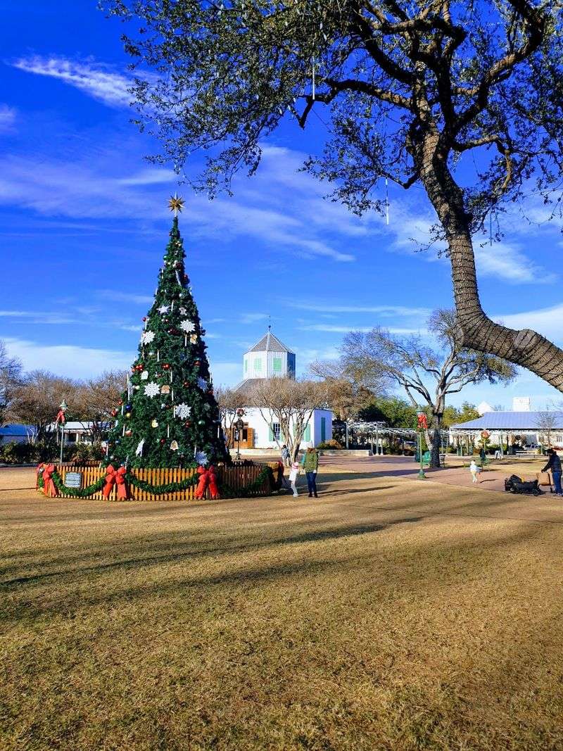 Holiday Markets and Festive Lights