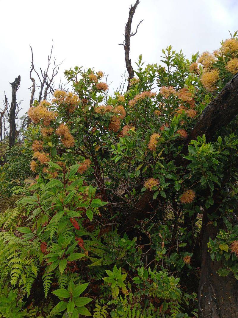 But It Keeps Coming Back