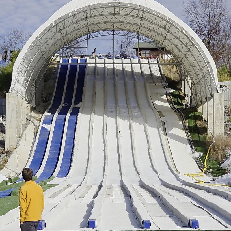 Visitor Tips and Essentials