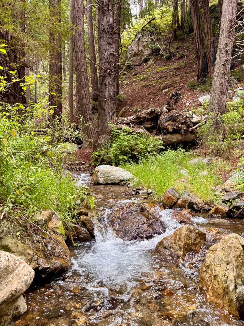 Hiking Ewoldsen Trail Loops