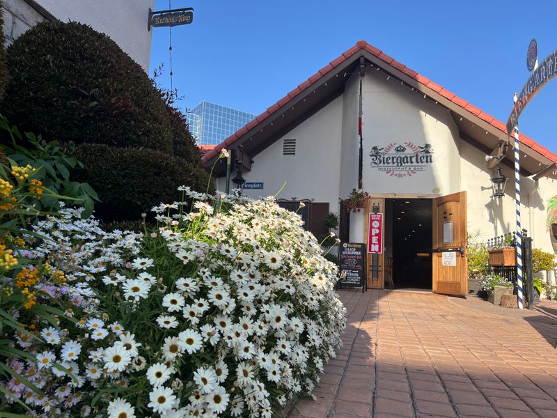 Tips for Timing Your Visit