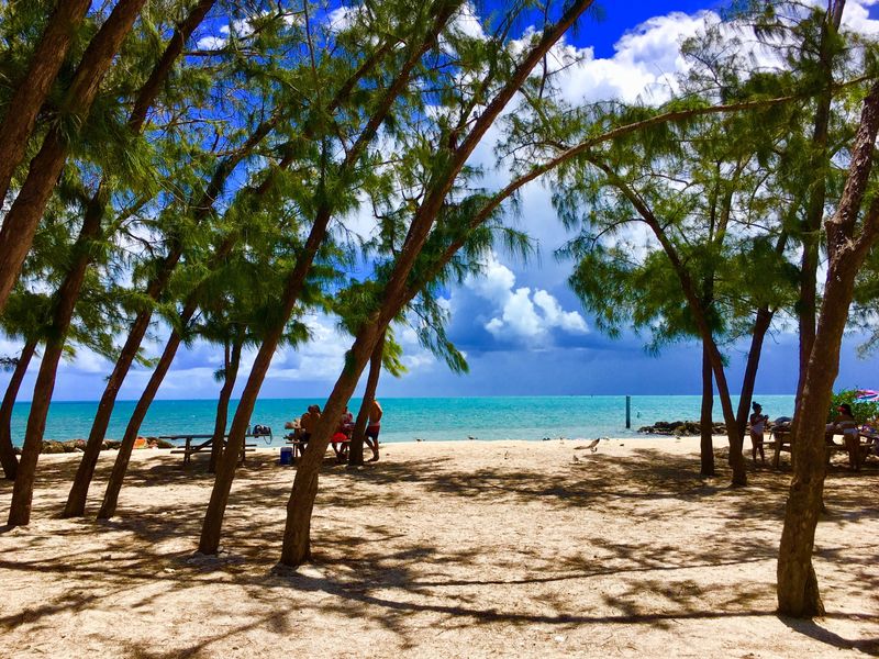 Family Friendly Game Plan