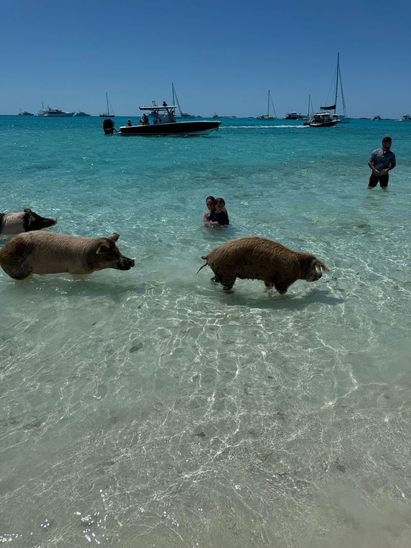 The vibe is equal parts magical and ridiculous and that's exactly why it works