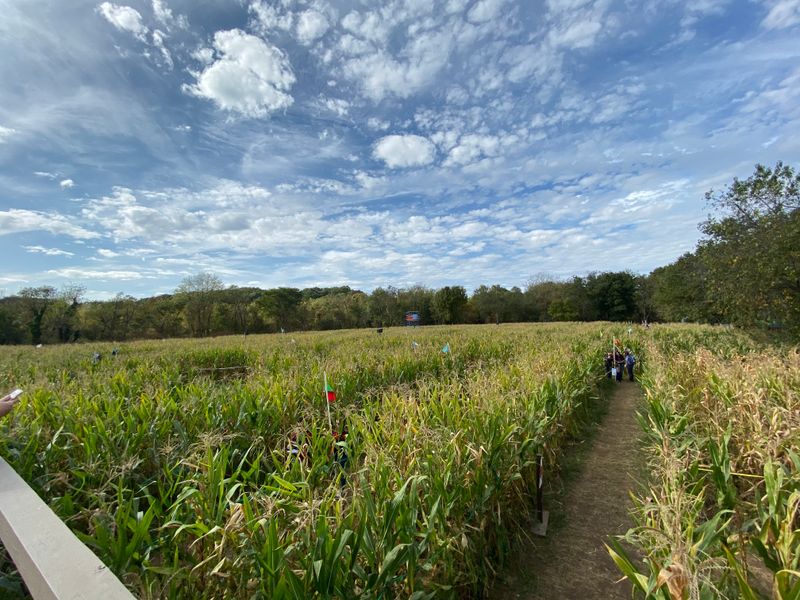 Heritage Crop Varieties and Seed Saving